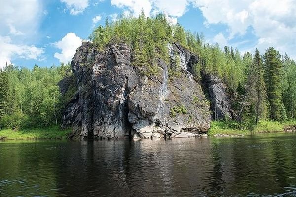 В Коми леса восстановятся естественным путем - KP.RU