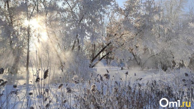 Омск может принять мероприятия международного уровня | АиФ Омск