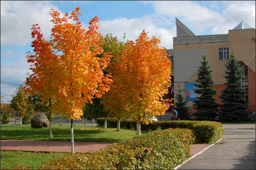 🍂🍁 Осенняя природа в окрестностях ...