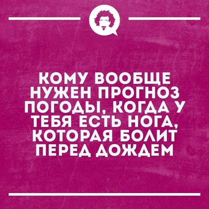 У природы нет плохой погоды? Дождь и холод задержатся на все ...