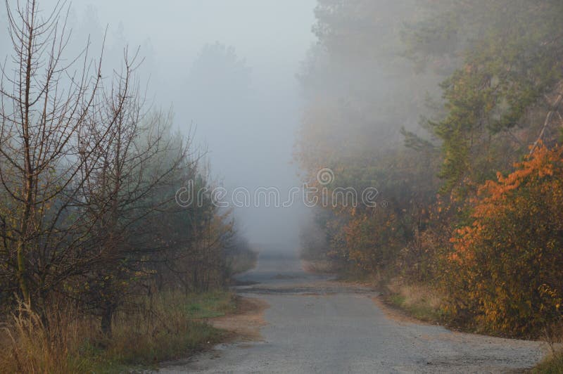 💚 Раннее утро в деревне Туман, предрассветное тусклое ...