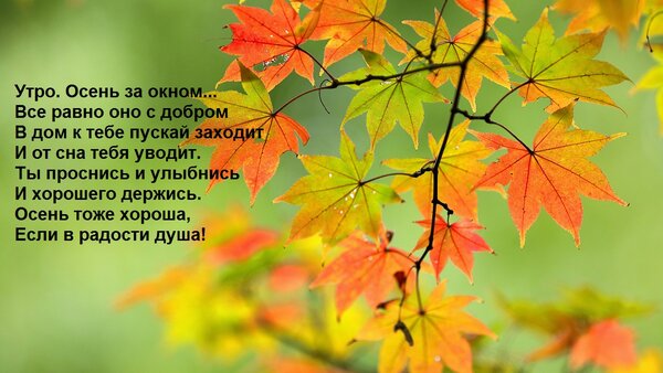 Осень за окном - время менять окна! Скидка 38% / Акции - OKNA.ua