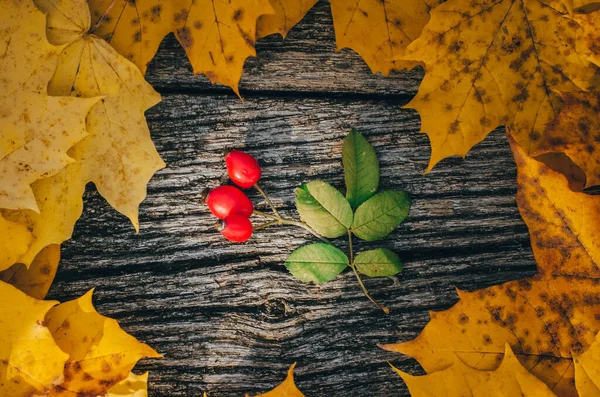 🍂 Осень в МАИ придумали специально, чтобы пить кофе из ...