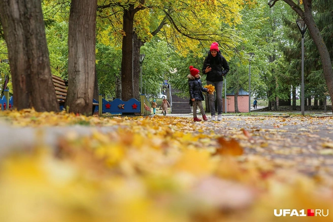 Уфа осенью. | Истории в картинках