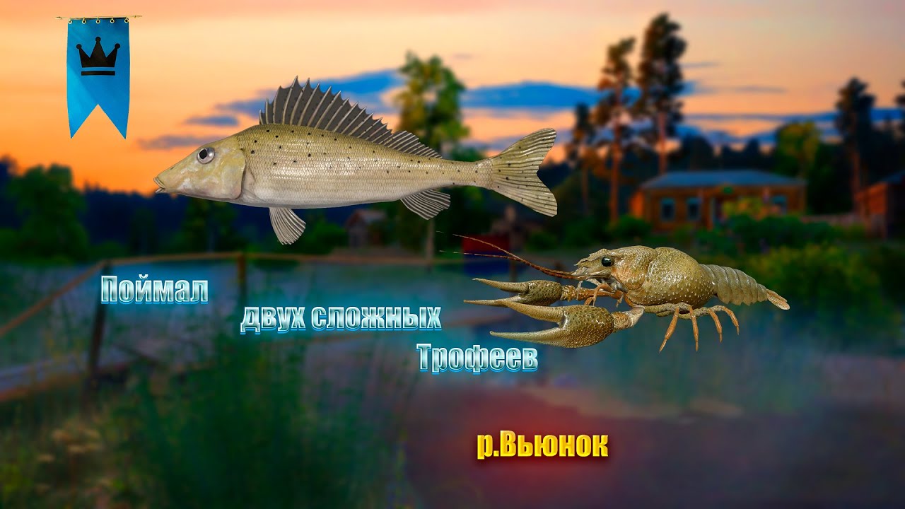 Экзотичные рыбы Черного моря