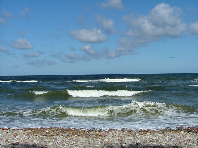 Водное разнообразие: какое море солонее ...