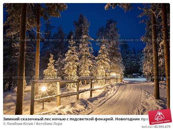 Скачать картинки Зимний лес туман, стоковые фото Зимний лес ...