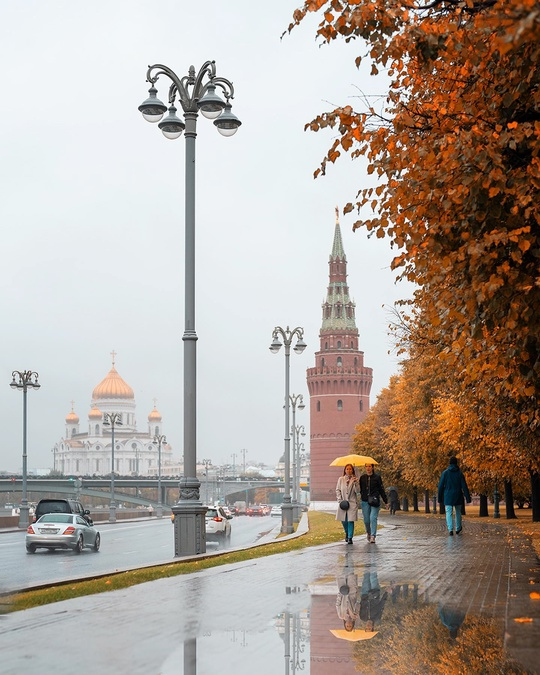 Осенний дождь — Викицитатник