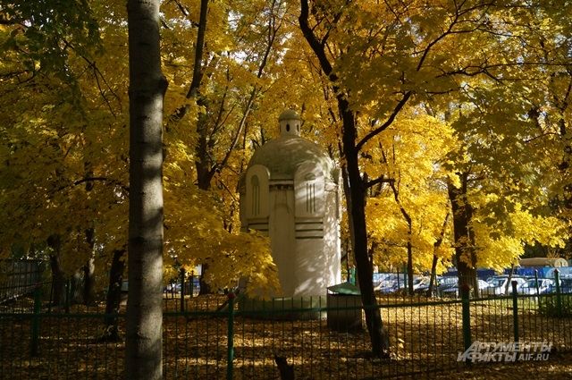 Фотоконкурс «Золотая осень в Пензенском крае» завершился ...