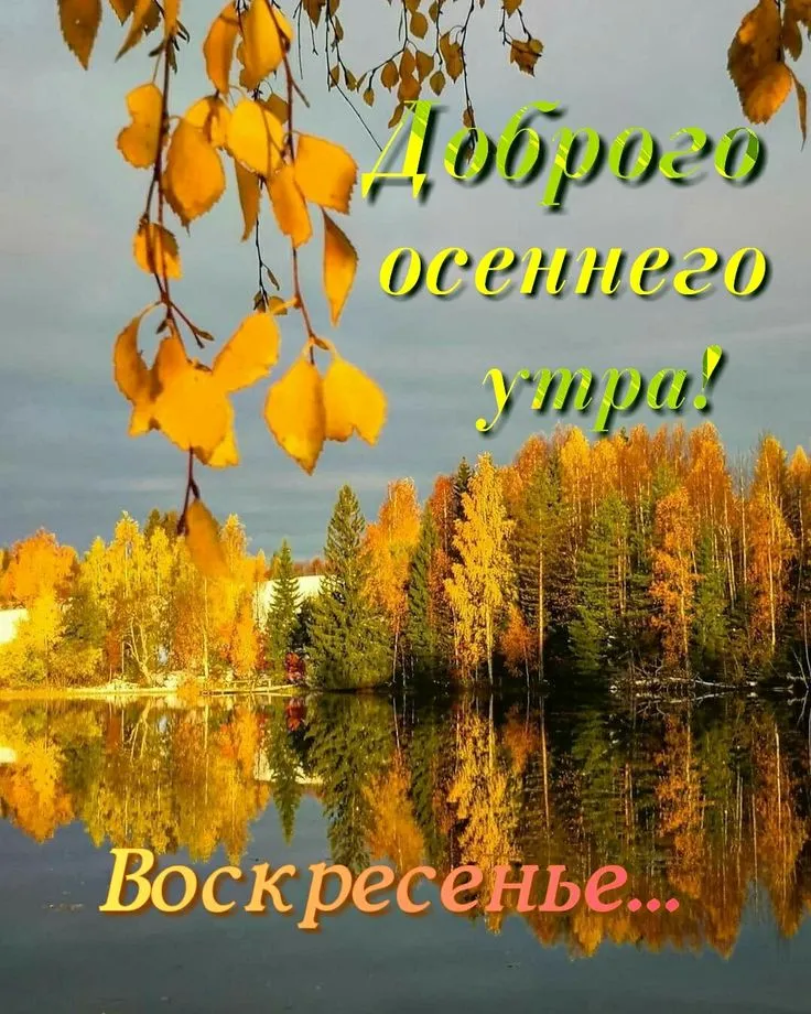 Доброе утро воскресенья — картинки и открытки в хорошем качестве