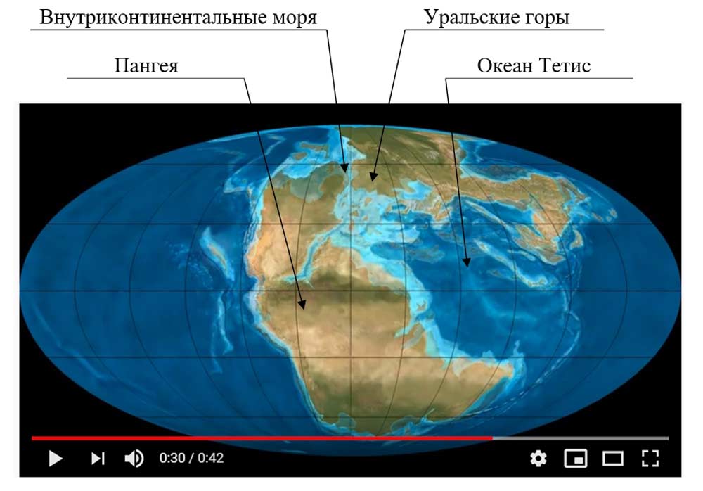 Период: Пермский (251,0 ± 0,4 млн лет ...