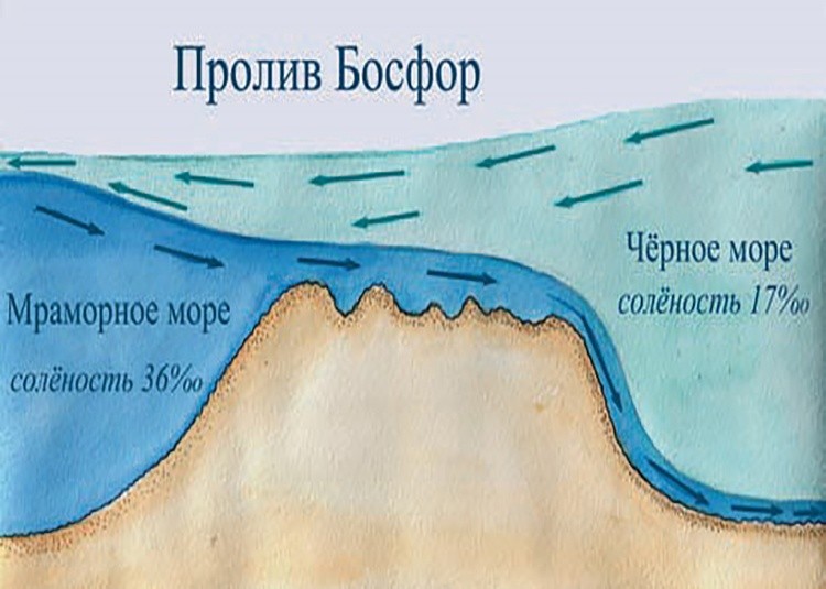 Средиземное море | География 6 класс