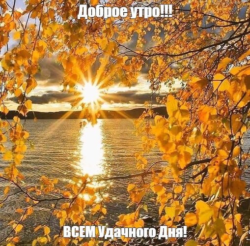 🍂🍁 ДОБРОЕ УТРО, ДРУЗЬЯ! ОТЛИЧНОГО ДНЯ! 🍁🍂 Радушно машет ...