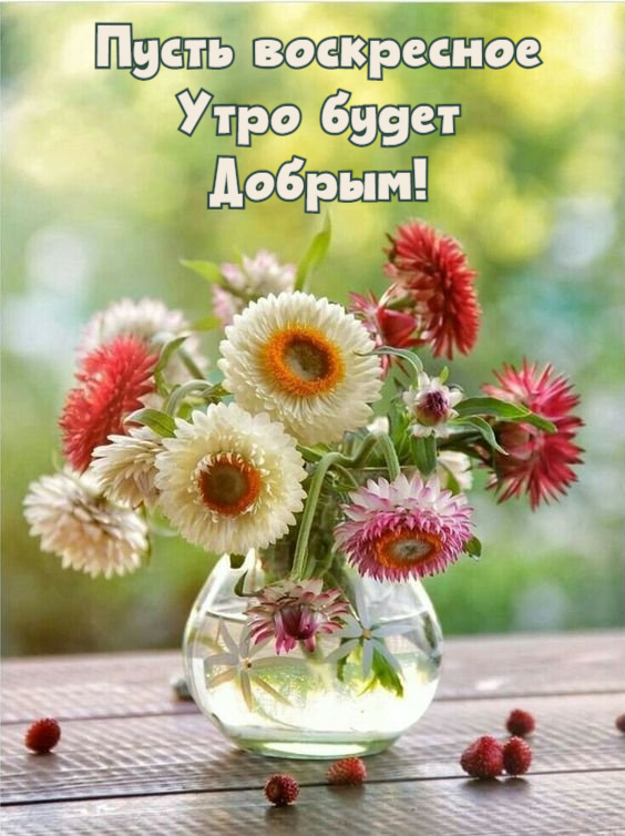 🍃🌞 ДОБРОЕ УТРО, ДРУЗЬЯ! 🌞🍃 «Доброе утро ...