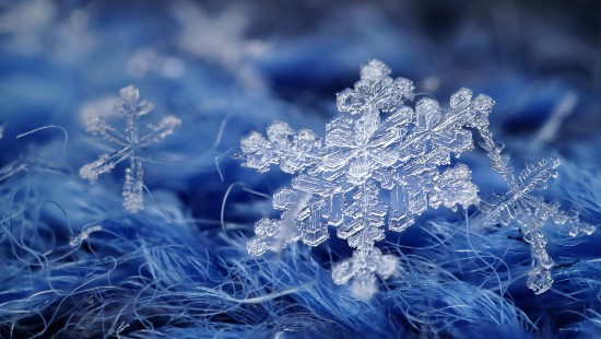 Обои зима, снежинки, фон, winter, background, snowflakes на ...