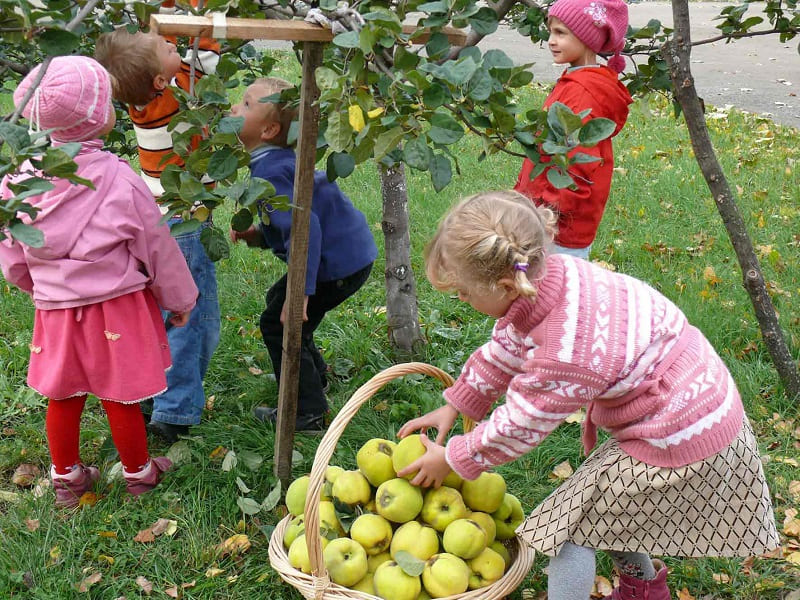 Семейная фотосессия осенью: 10 ...