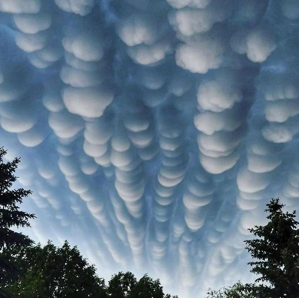 Вымеобразные облака (Mammatus) / Фотография 9 ...