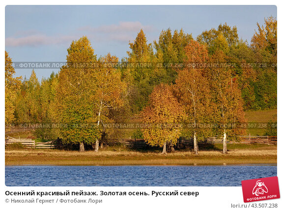 Осенний Пейзаж Красивый Городской Парк Опавшими Жёлтыми ...