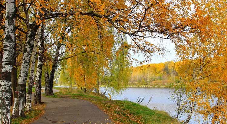 папки-передвижки | Записи с меткой папки-передвижки | Дневник ...