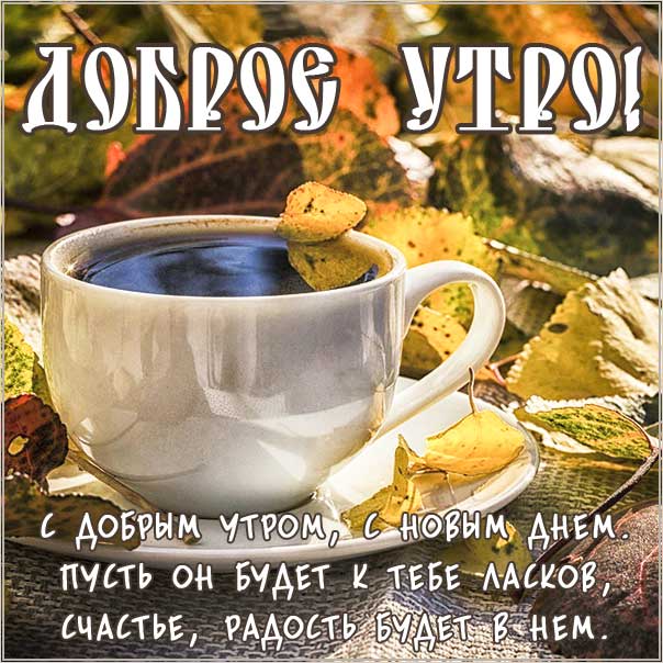 Открытка Доброе утро ноября