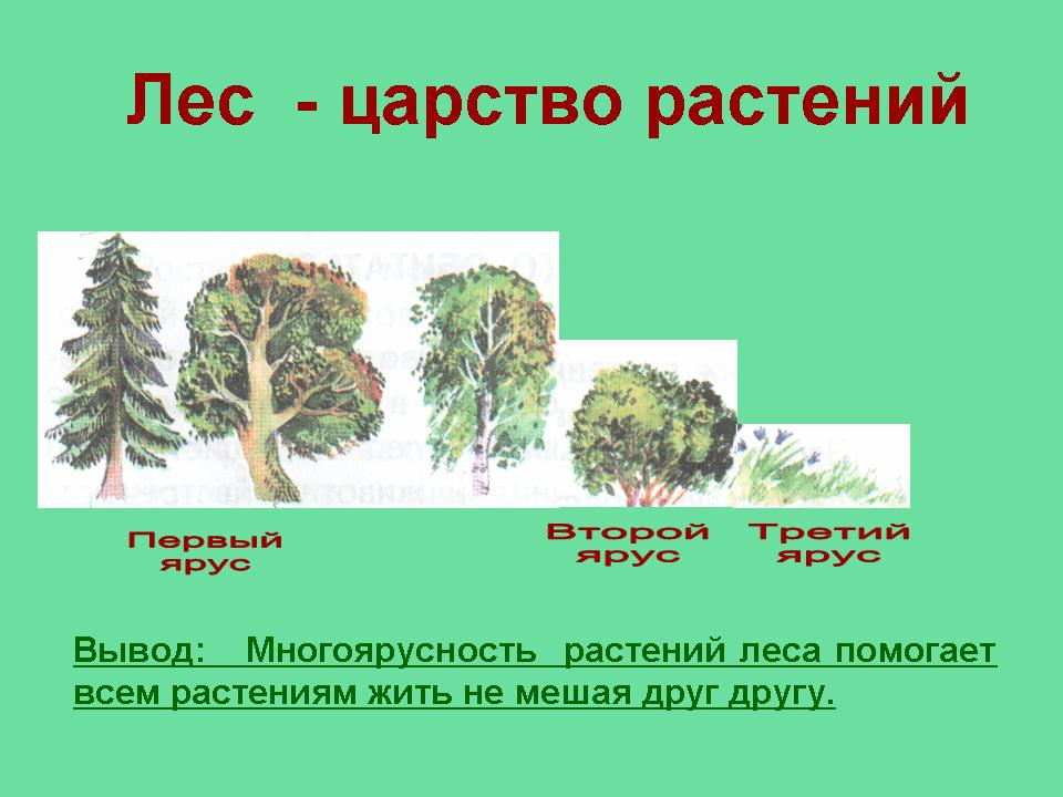 Урока по окружающему миру в 4 классе теме 