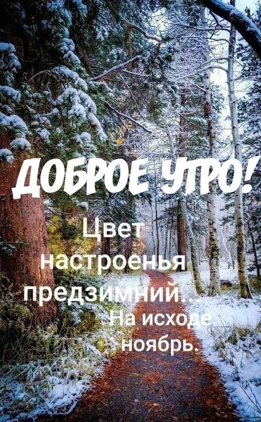 Народные приметы ноября — FloraPrice.Ru