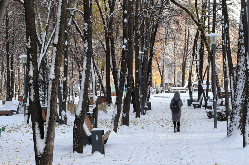 Погода в Москве с 5 по 10 ноября: снег ...