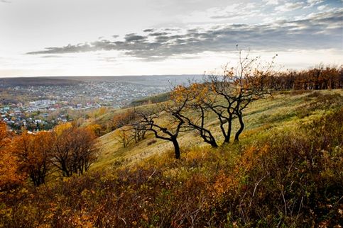 Осень в парке Липки. Саратов (2015 год ...