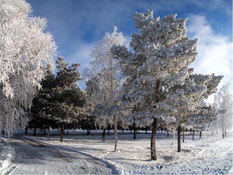 Начало зимы, еще не покрытая льдом река в лесу. Стоковое фото ...