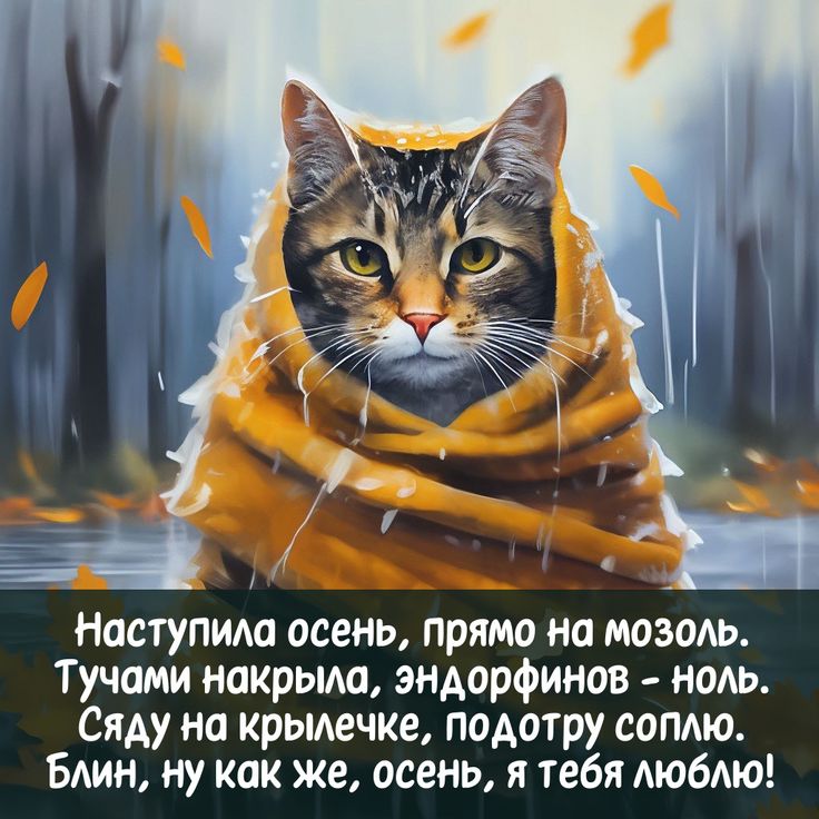 Открытка Холодает... Одевайся потеплей! С Новым днём ...