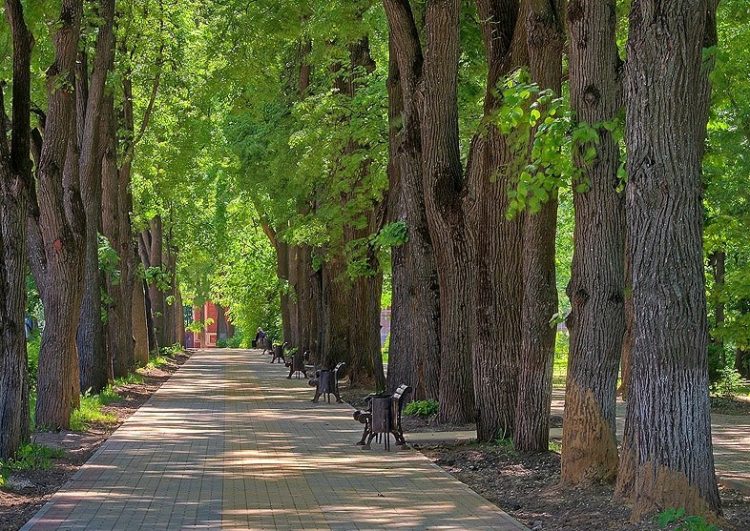 В Калуге осень встретится с зимой точно по расписанию ...