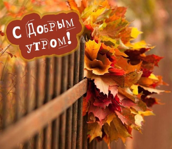 Осень… Доброе утро! ☀️🍂 картинки красивые с супер словами ...