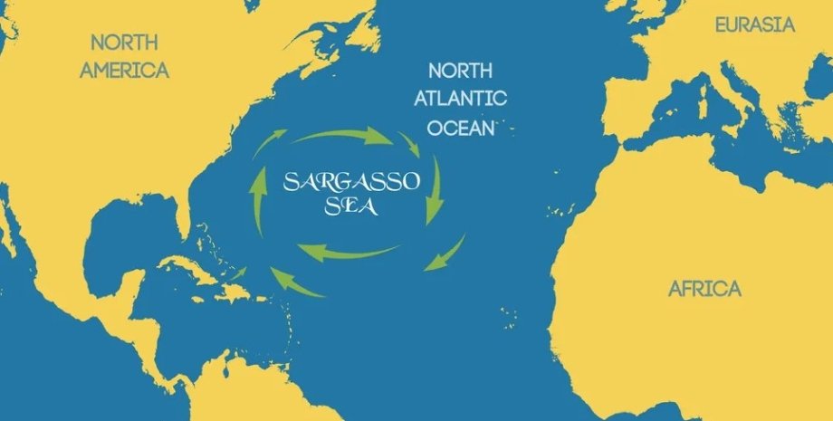 Саргассово море превратилось в отвратительное место: кислее и ...