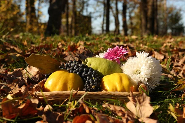 02.10.2020 г🍂🍁.Осень, пожалуй, самое ...