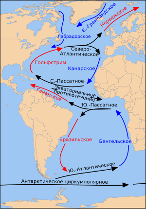 Атлантический океан | magellan.education