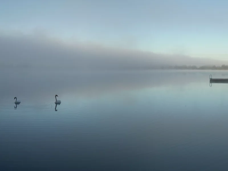 красивые заснеженные горы и деревья ...