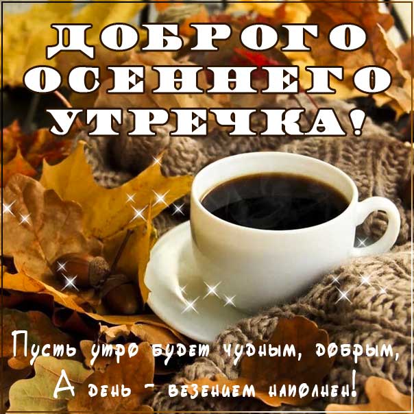 Осень… Доброе утро! ☀️🍂 картинки красивые с супер словами ...