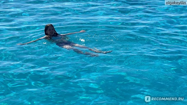 Команда дайверов под водой. Дайвинг в Красном море, Египет ...