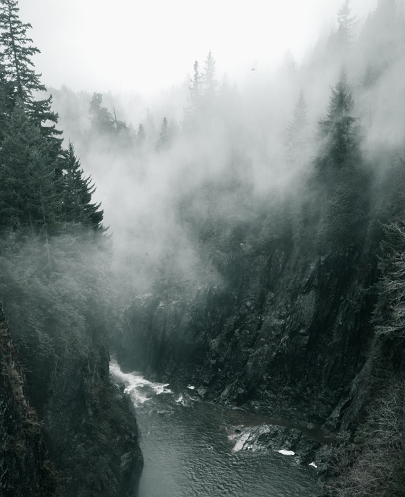 Wallpaper mountains, fog, Tree, slope ...