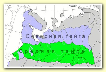 Плакат «Строительные леса (конструкции, монтаж, проверка на ...