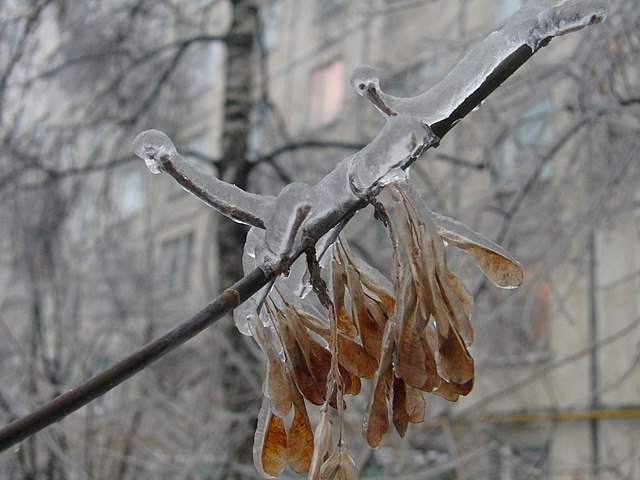 Ледяной дождь пошел в Москве