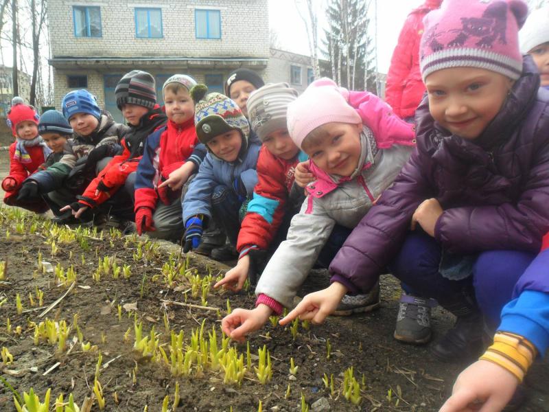 Рабочая программа воспитателя средней группы (4-5 лет) по ФОП ...