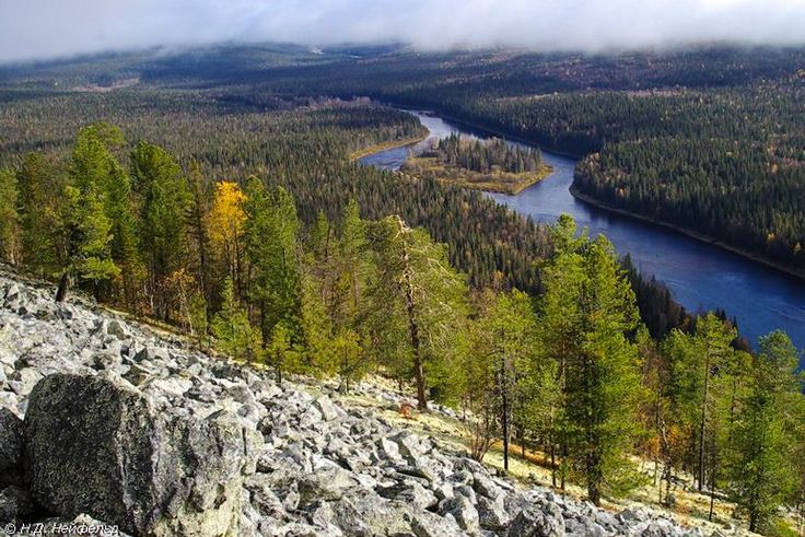 Спокойный Лес Река Девственные Леса Коми, Тайга В Ridge ...