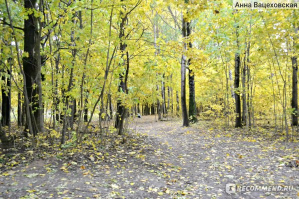 Смоленск. Кинотеатр «Октябрь»