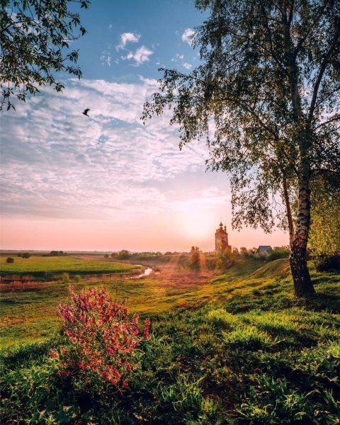 Утро в деревне летом (67 фото)