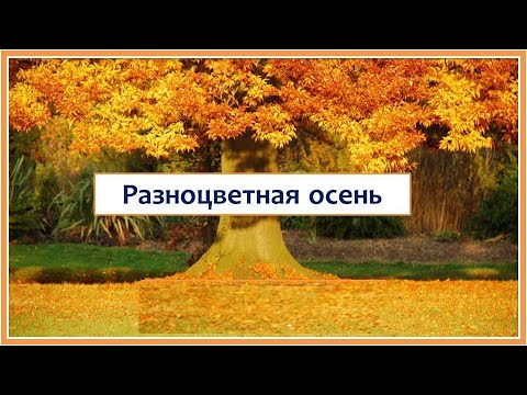 Красочная осень Осенняя фотосессия | Фото | Идеи для фото ...