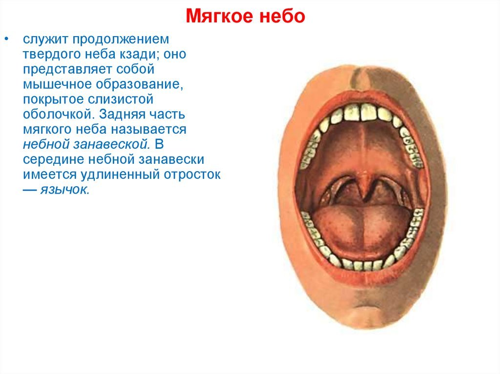 Глиняная статуэтка. Человек смотрящий в ...