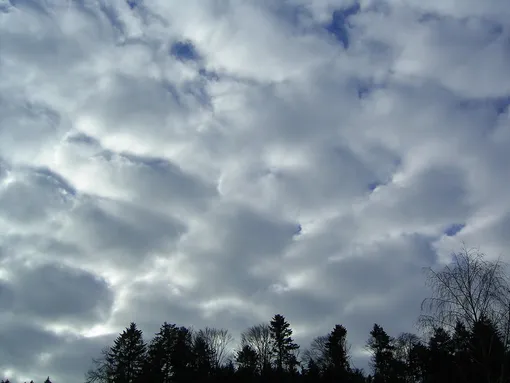 Наука - Краткий гид по облакам. Cirrocumulus - Перисто ...