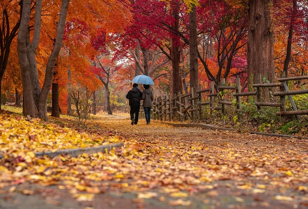 Осенняя Тюмень 🍁🍃🍂🍁🍃🍂 | Паблик Тюмень ...