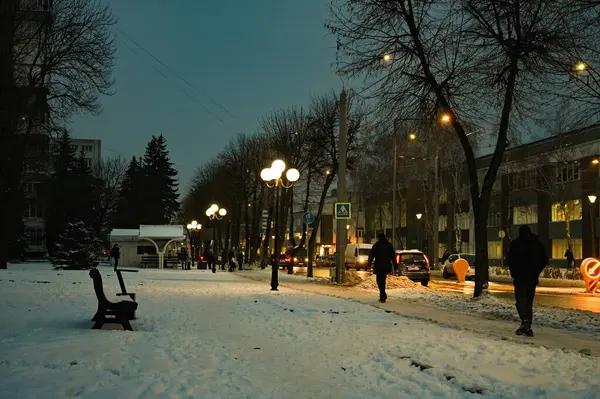 Зима в городе» картина Павловеца Александра маслом на холсте ...